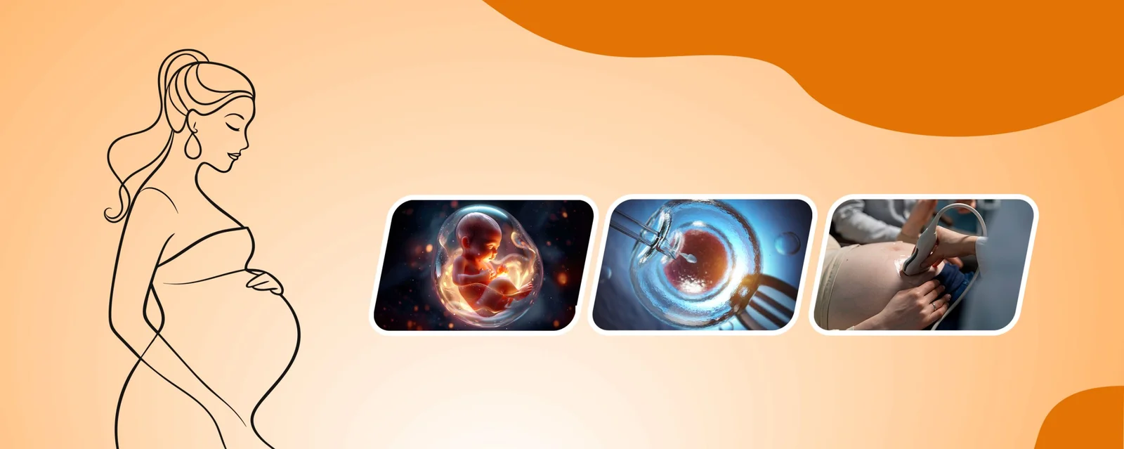 Gynecology & IVF